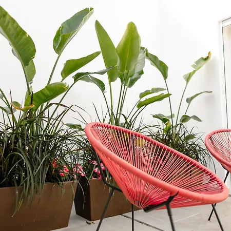 Marlin House Vii פרל